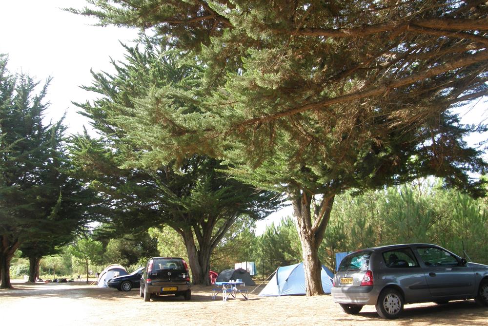 Location emplacements camping à deux pas de la plage Ile de Ré 17