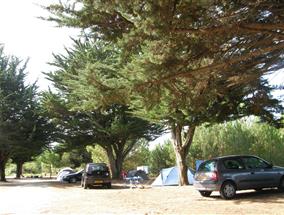 Location emplacements camping à deux pas de la plage Ile de Ré 17