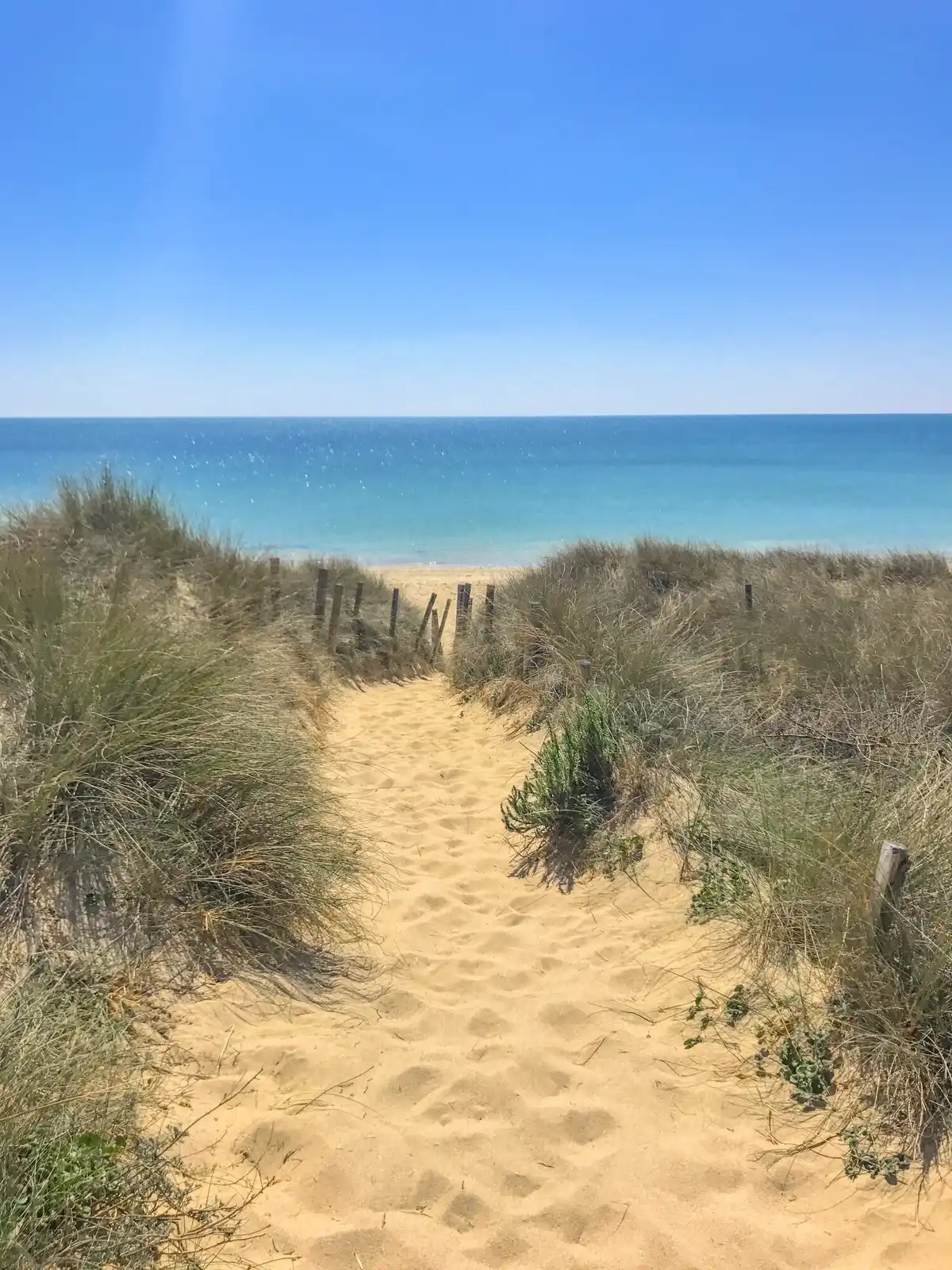 plages camping ile de re